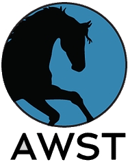 AWST Logo