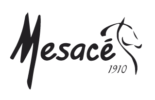 Mesace Logo