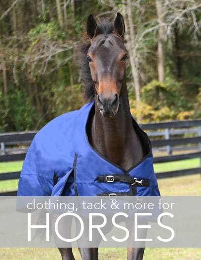 Clothing, Tack & More for Horses